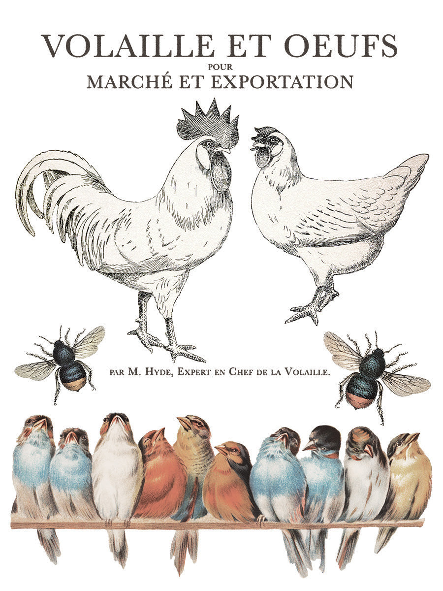 French country style - Brocante transfer image