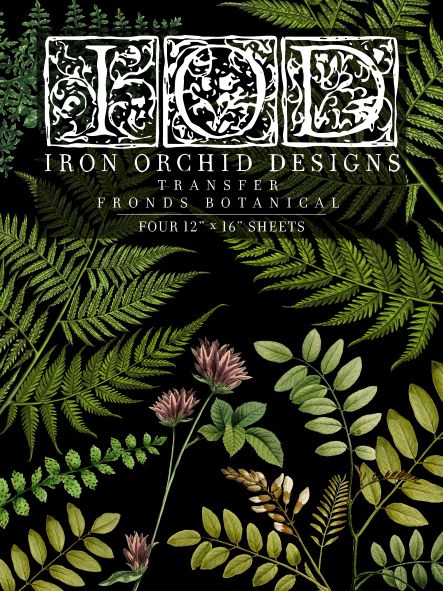 Ferns - Fronds Botanical transfer image