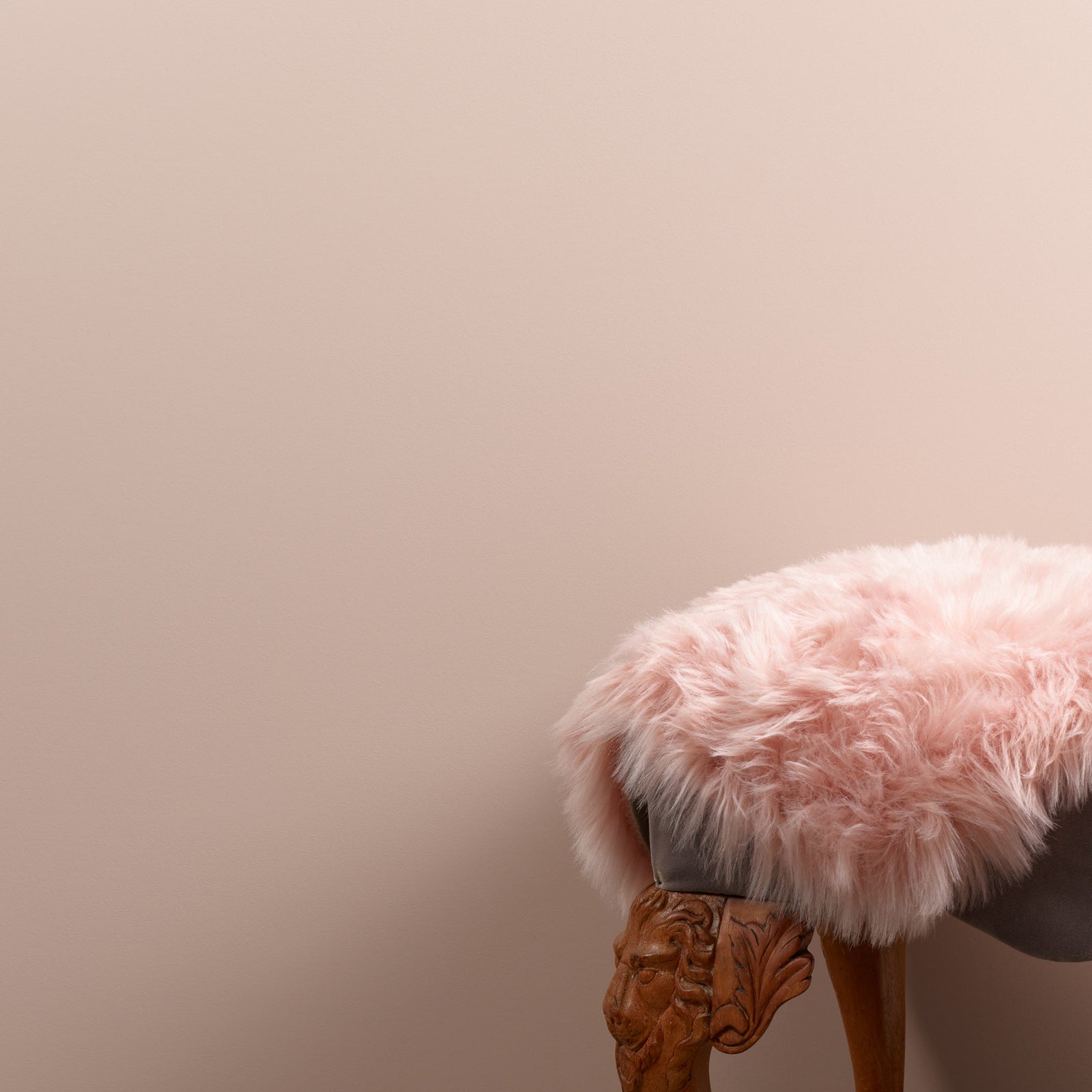 Testivoittaja beige seinämaali Frenchic.