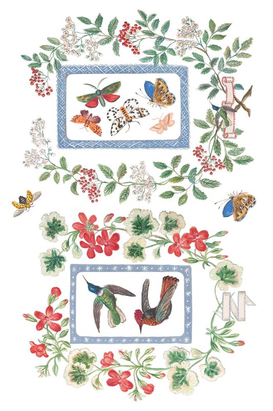 Emily Clare siirtokuva - 8 arkkia-Siirtokuva-Frenchic Paint Finland