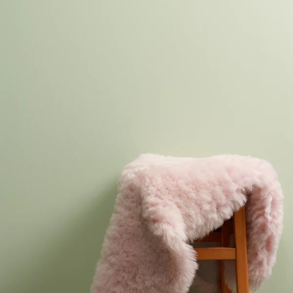 Pastellinen vaalean vihreä Frenchic maali Eye Candy.