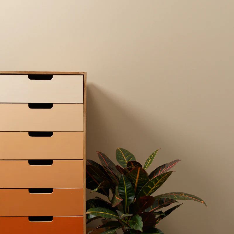 Nimensä se on saanut hiekanruskeaturkkiselta pieneltä aavikkoketulta – ovelalta pikku veijarilta, jonka silmistä huokuu lämpöä. Tämä erittäin houkutteleva, neutraali sävy sopii helposti moniin sisustuksiin. Ulko- ja sisäkalusteille sopiva kaunis väri.