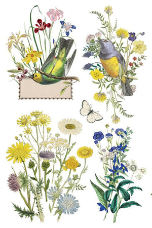 Flora Greca siirtokuva - 8 arkkia-Siirtokuva-Frenchic Paint Finland