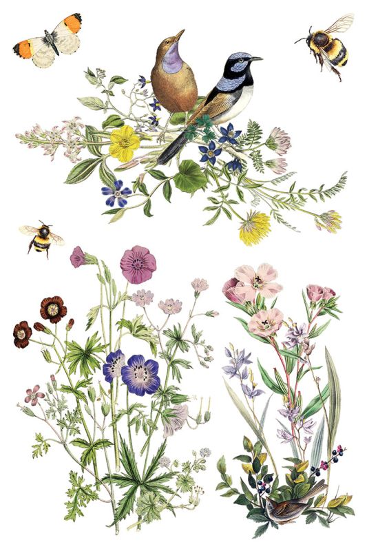 Flora Greca siirtokuva - 8 arkkia-Siirtokuva-Frenchic Paint Finland