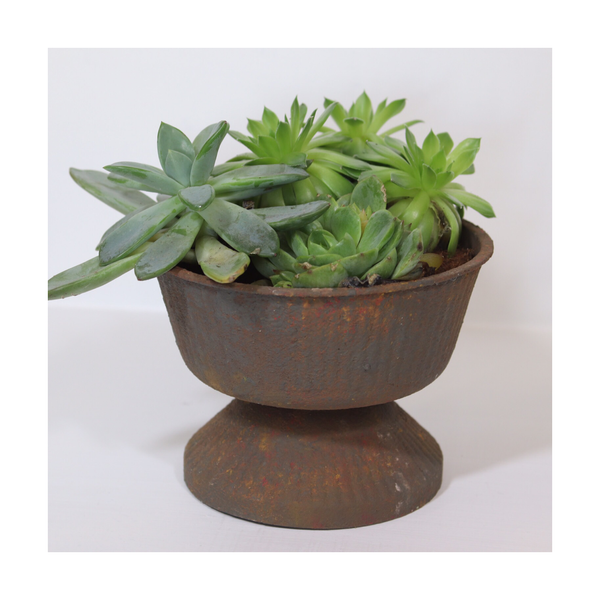 Saltwash® 283g - - Frenchic Paint Finland