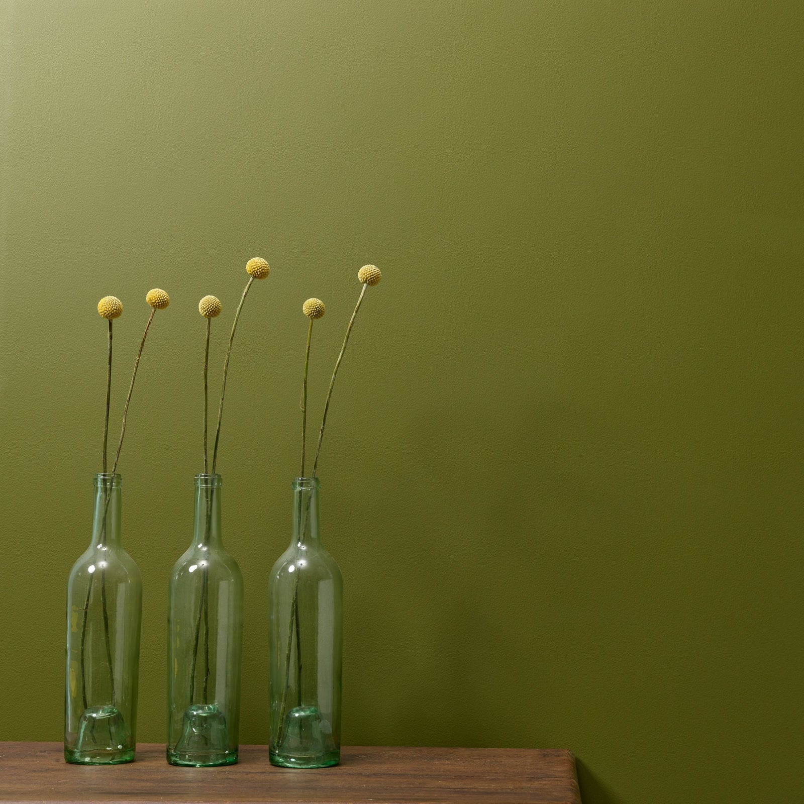 Sammaleen vihreä Constance Moss seinämaalisävy. 