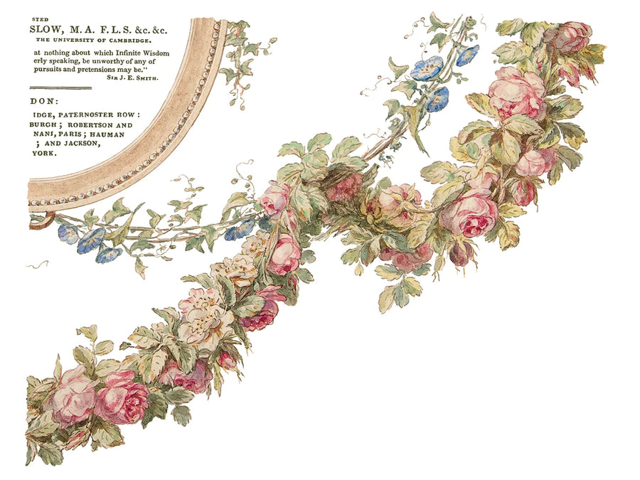 botanist-transfer-siirtokuvat- Frenchic. 
