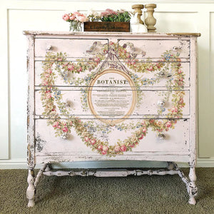 Köynnös - The Botanist -siirtokuva - Siirtokuva - Frenchic Paint Finland
