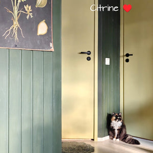 lime-citrine-kalustemaali-frenchic-