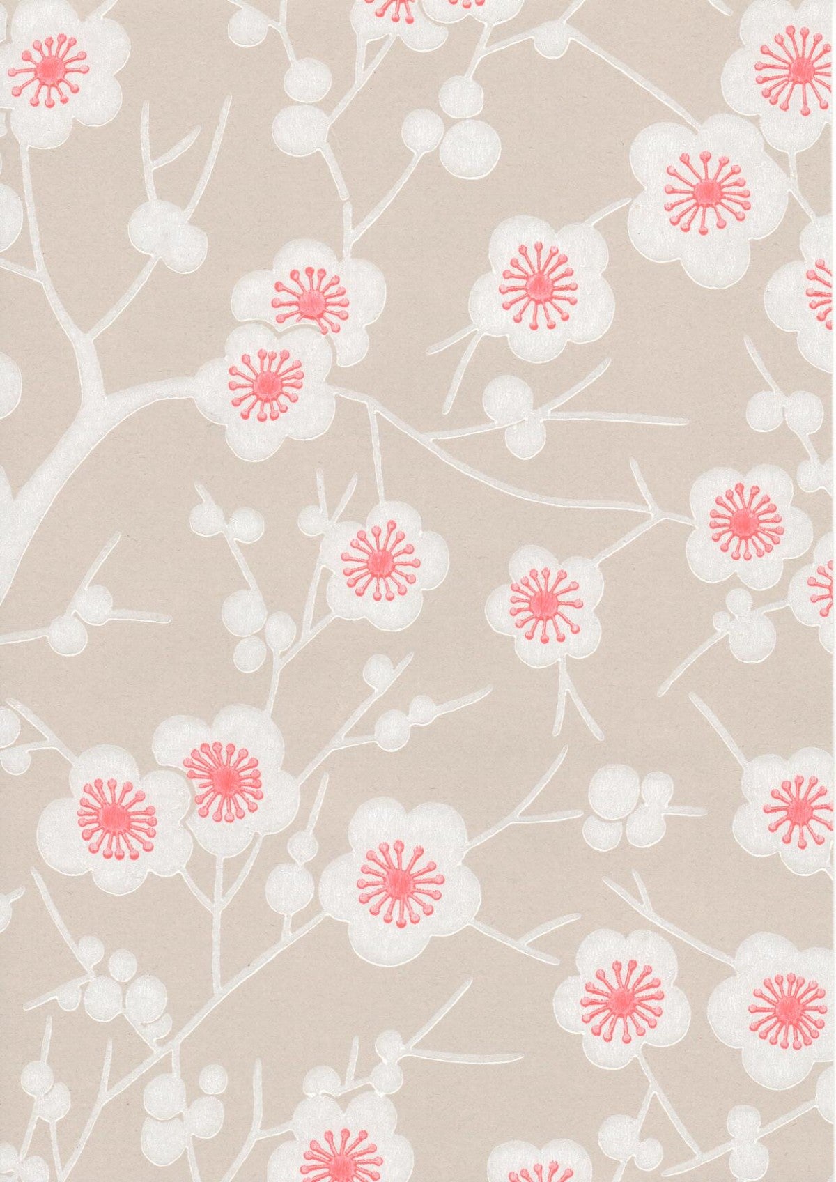 Kirsikkapuu tapetti Frenchic. 