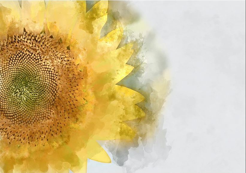Sunflower - Mint By Michelle