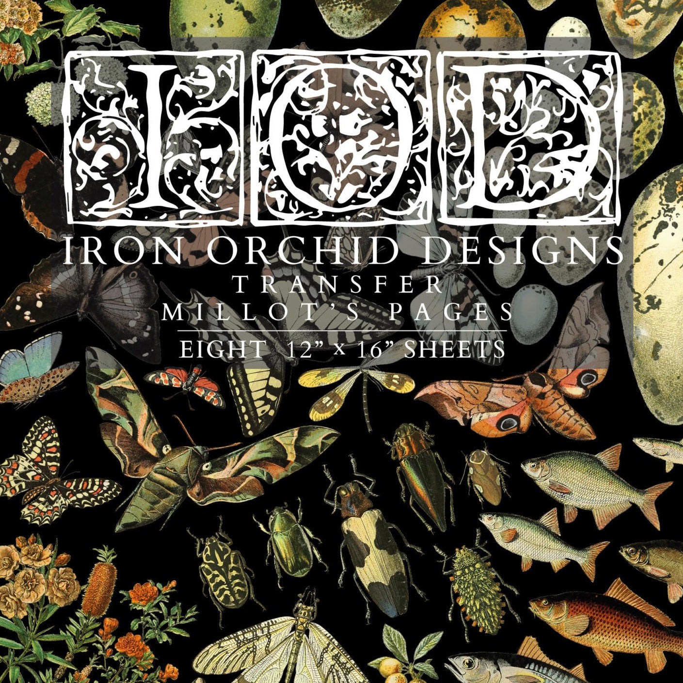 Millot’s Pages -siirtokuva - Siirtokuva - Frenchic Paint Finland